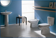 Plumbing services, bathroom installations and leak detection